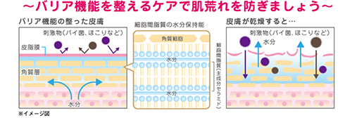 バリア機能を整えるケアで肌荒れを防ぎましょう